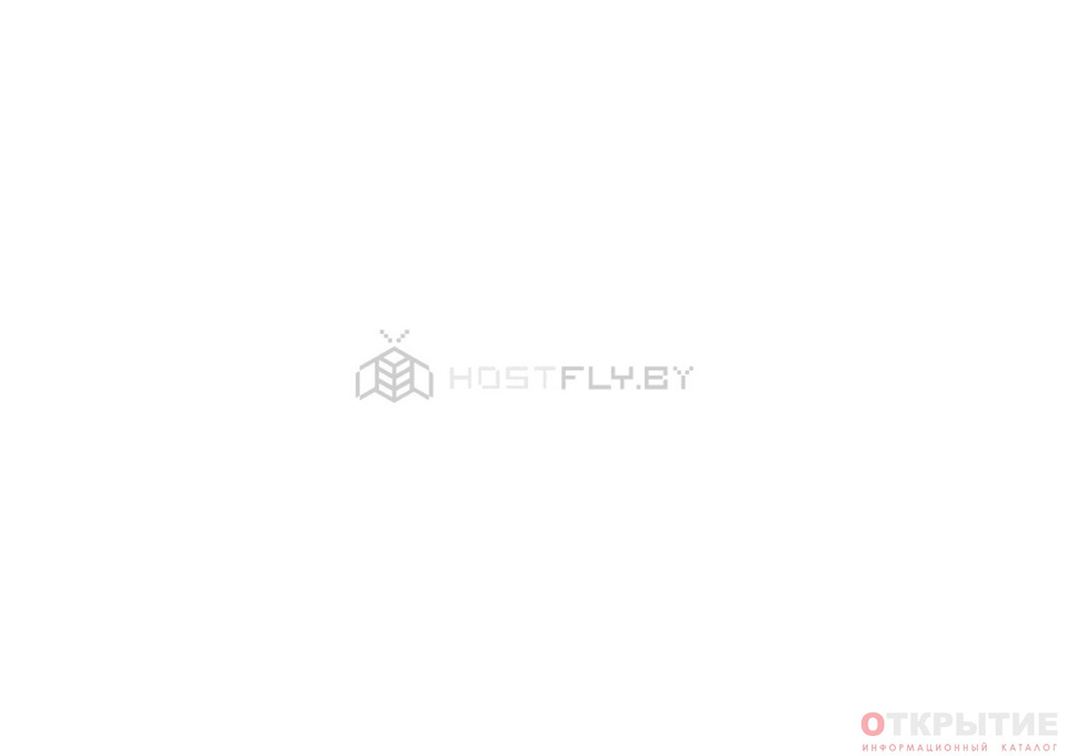 Белорусский хостинг-провайдер | Hostfly.бай