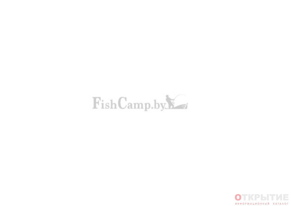 Рыболовный интернет-магазин | Fishcamp.бай