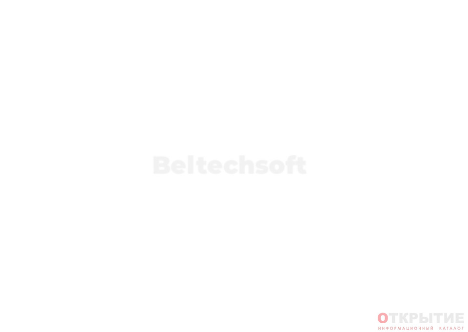 Разработка сайтов и сервисов | Beltechsoft.бай