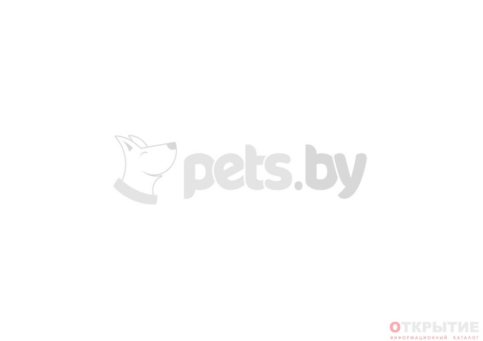 Магазин товаров для животных | Pets.бай