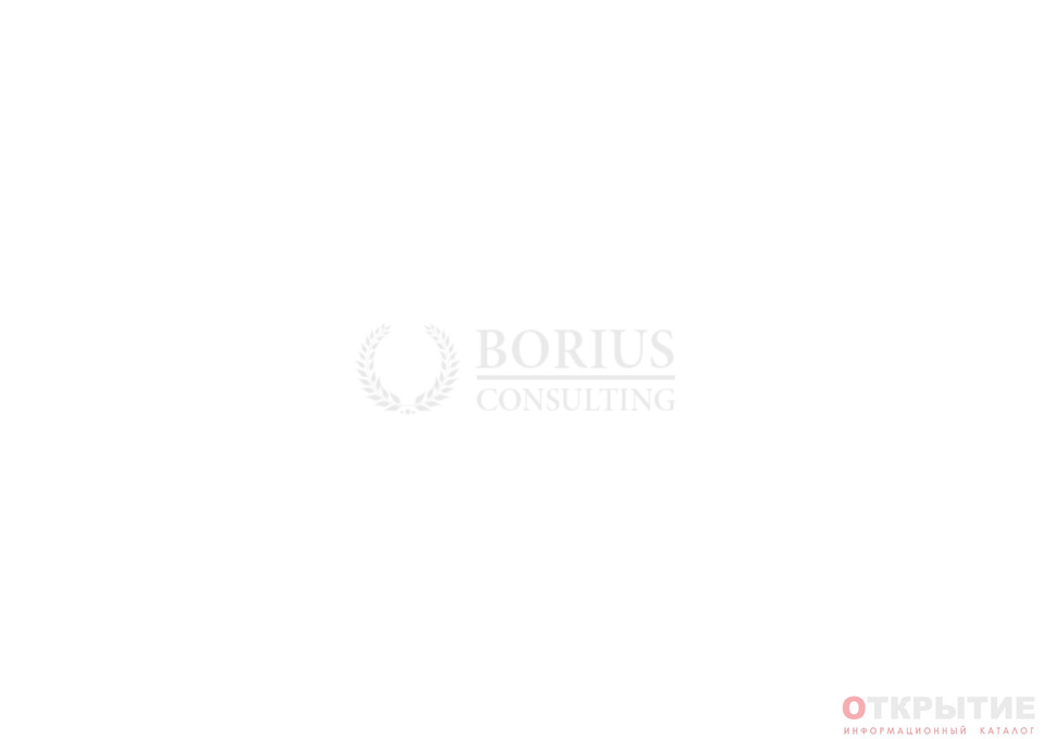Юридические услуги «Бориус Консалтинг» | Borius.бай