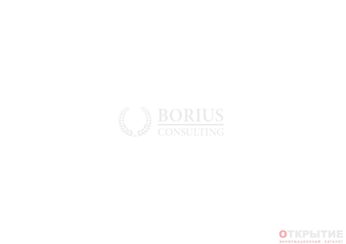 Юридические услуги «Бориус Консалтинг» | Borius.бай